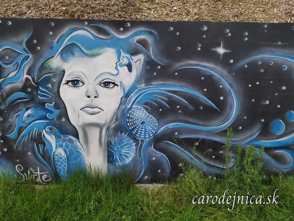 žena s vlasmi medúzy vo vesmíre s hviezdami namaľovaná ako streetart